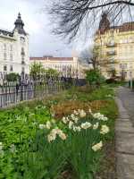 Brno | Nový plot kolem Botanické zahrady